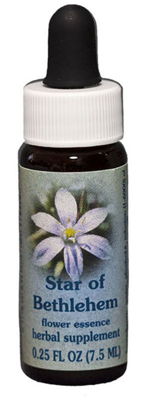 Star of Bethlehem Flower Essence