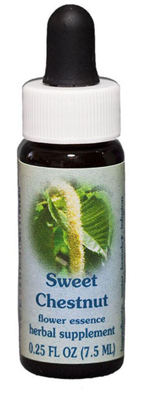 Sweet Chestnut Flower Essence