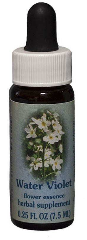 Water Violet Flower Essence