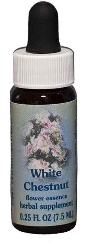 White Chestnut Flower Essence