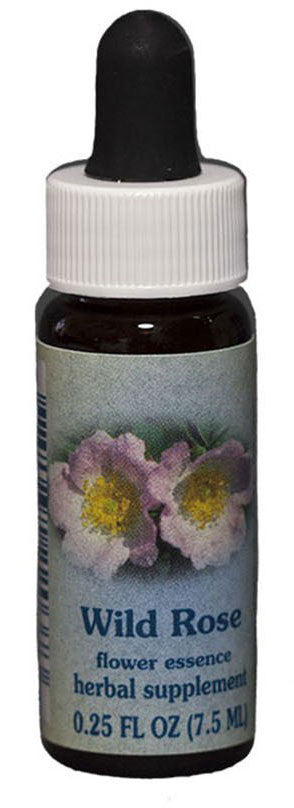 Wild Rose Flower Essence