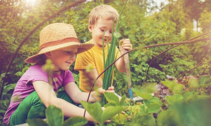 Children's Immune Health with Herbalist Amanda Furbee