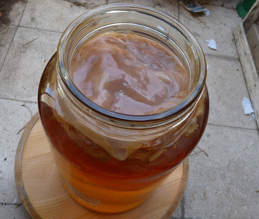 Make Your Own: Kombucha