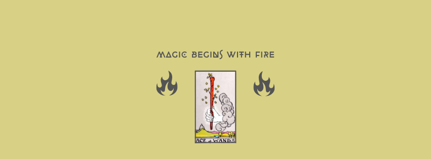 The Ace of Wands with Herbal Pairing Lion’s Mane