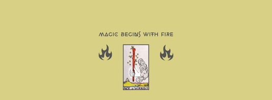 The Ace of Wands with Herbal Pairing Lion’s Mane