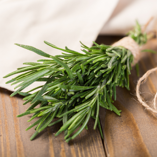 Plant Folklore: Rosemary