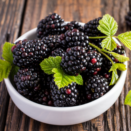 Plant Folklore: Blackberries