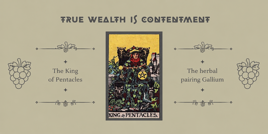 The King of Pentacles with Herbal Pairing Galium