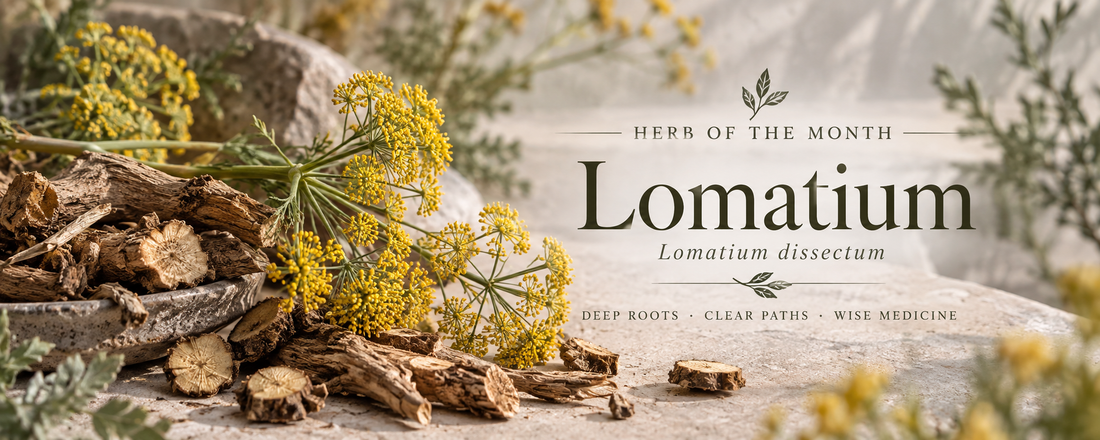 Herb of the Month: Lomatium