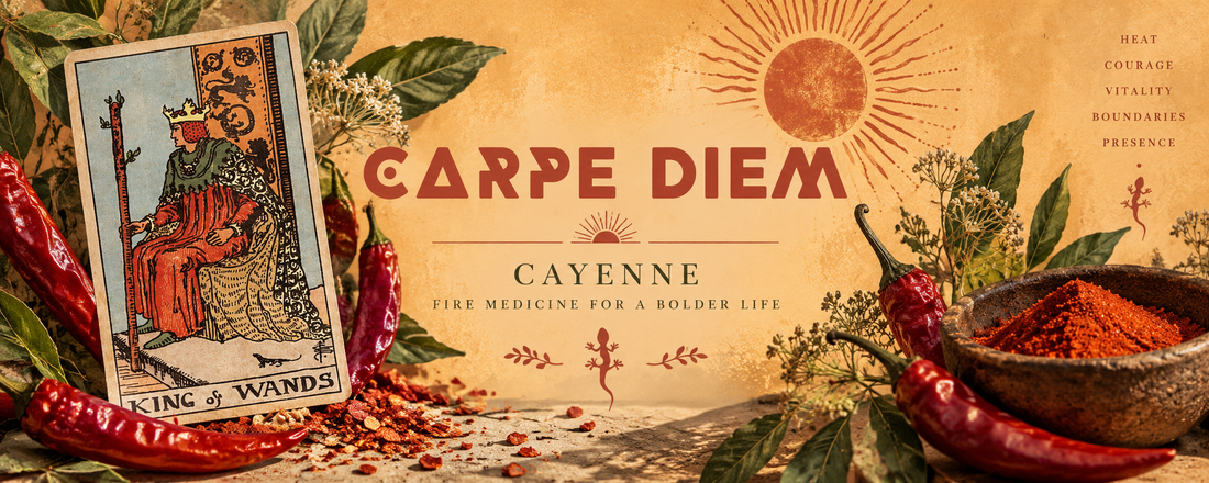 The King of Wands with Herbal Pairing Cayenne