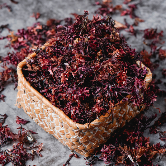 Herb of the Month: Irish Moss