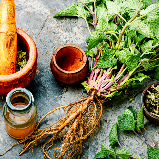 Herbs for Resilience: Lemon balm