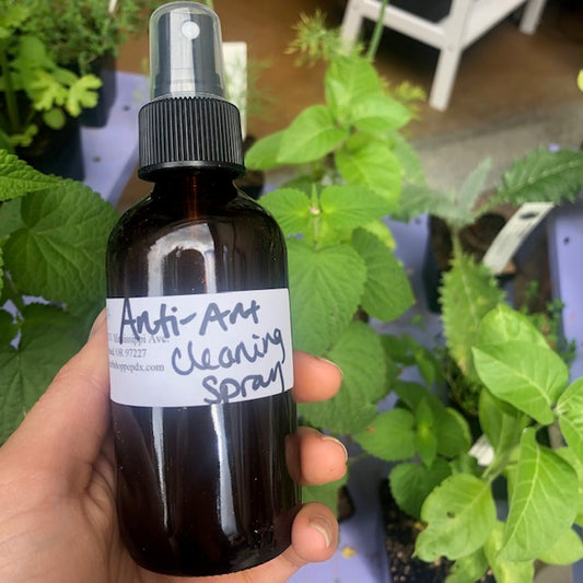 Anti-Ant Cleaning Spray Recipe