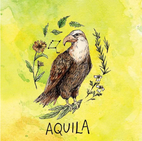 Tincture of the Month: Aquila Elixir
