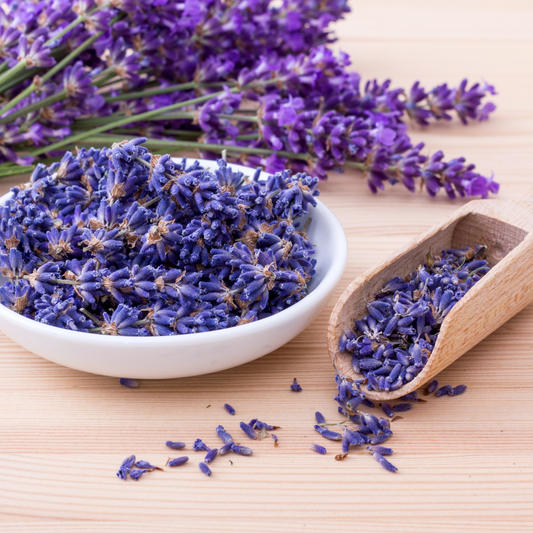 Herb of the Month: Lavender