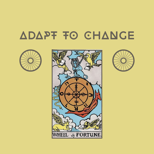 The Wheel of Fortune with Herbal Pairing Caraway Seeds