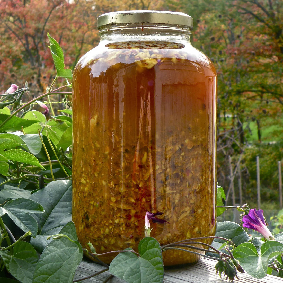 Make your Own: Fire Cider