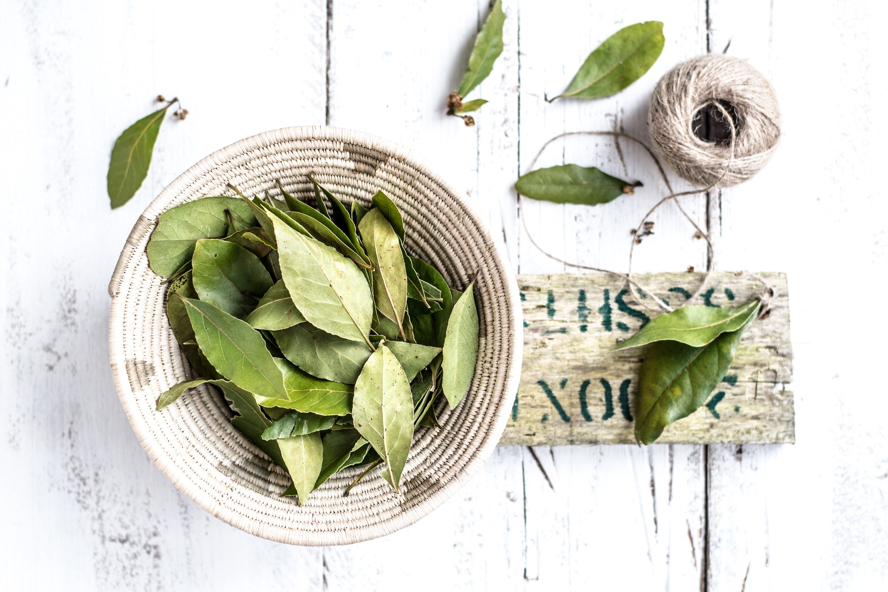 Herb of the Month: Bay Leaf