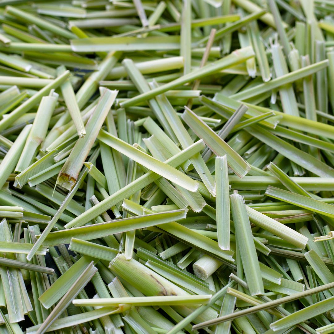 Lemongrass Essential Oil