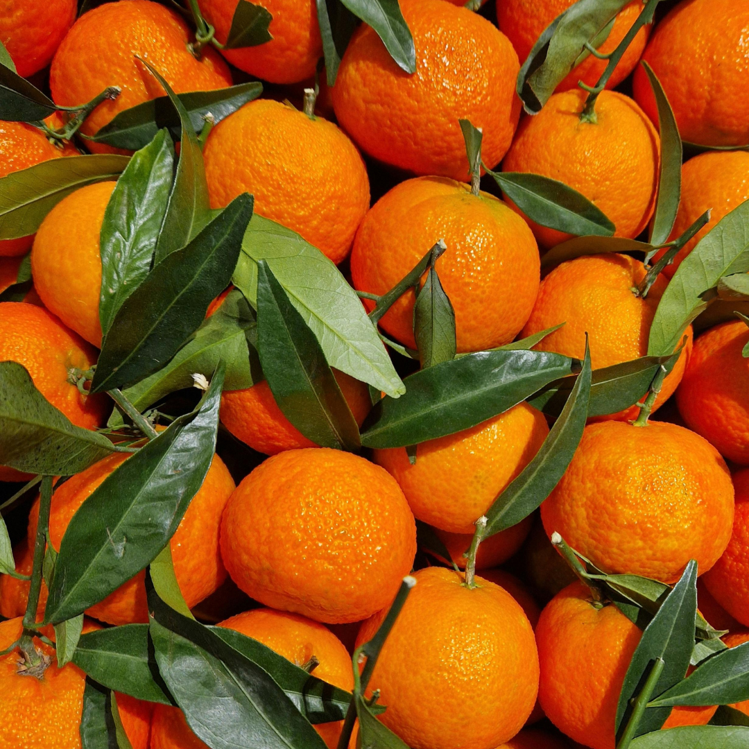 Tangerine Essential Oil