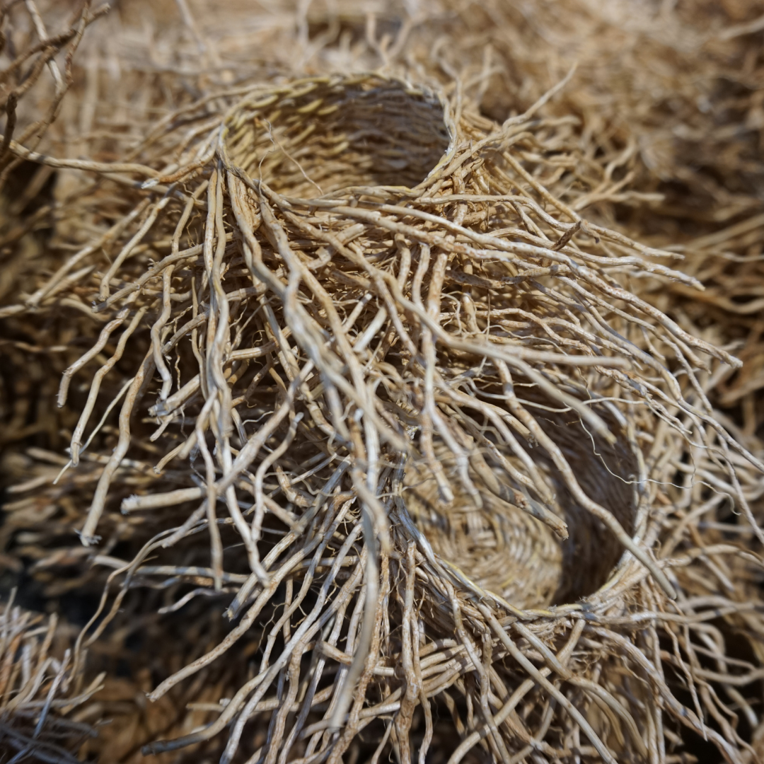 Vetiver Essential Oil