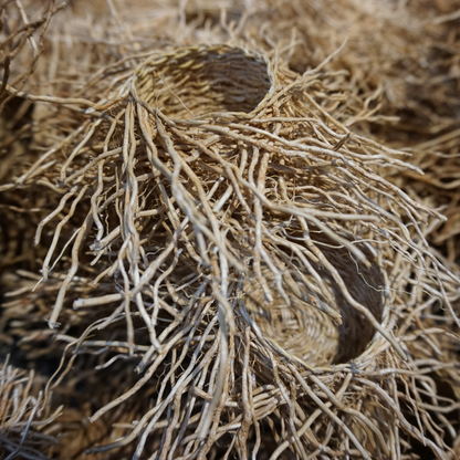 Vetiver Essential Oil