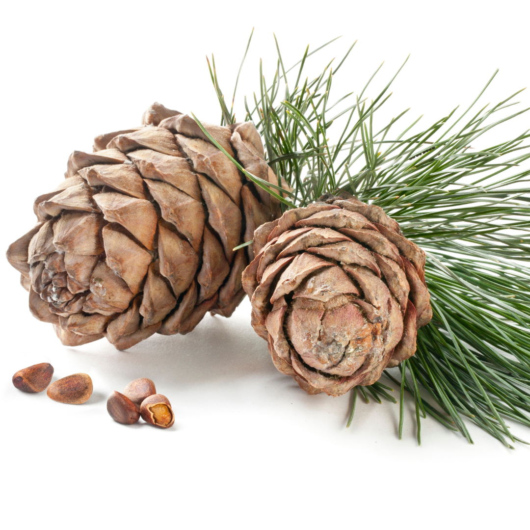 Cedarwood Essential Oil