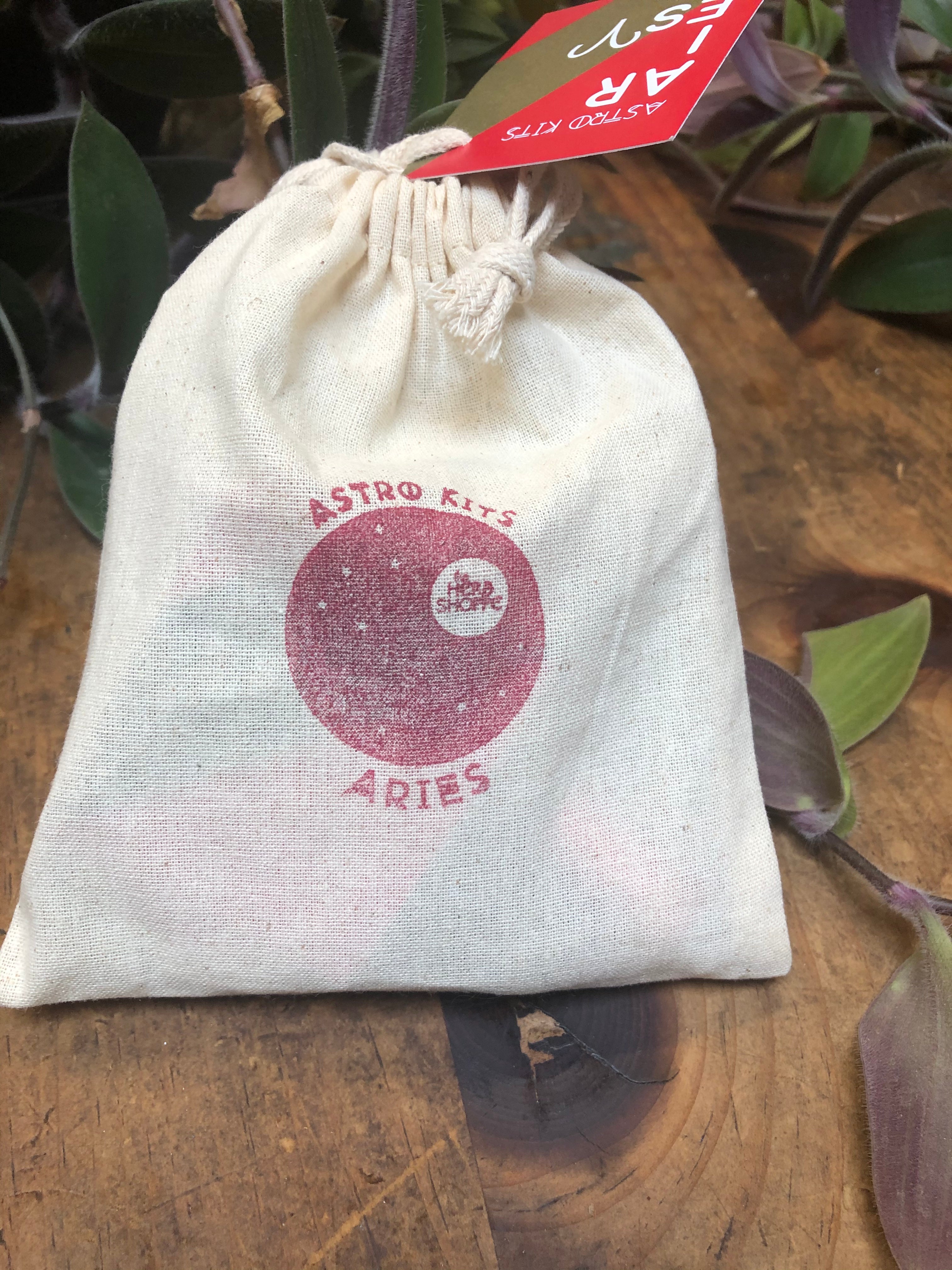 Aries Astrology Kit