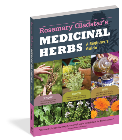 Medicinal Herbs: A Beginner's Guide