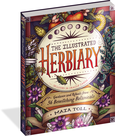 Illustrated Herbiary