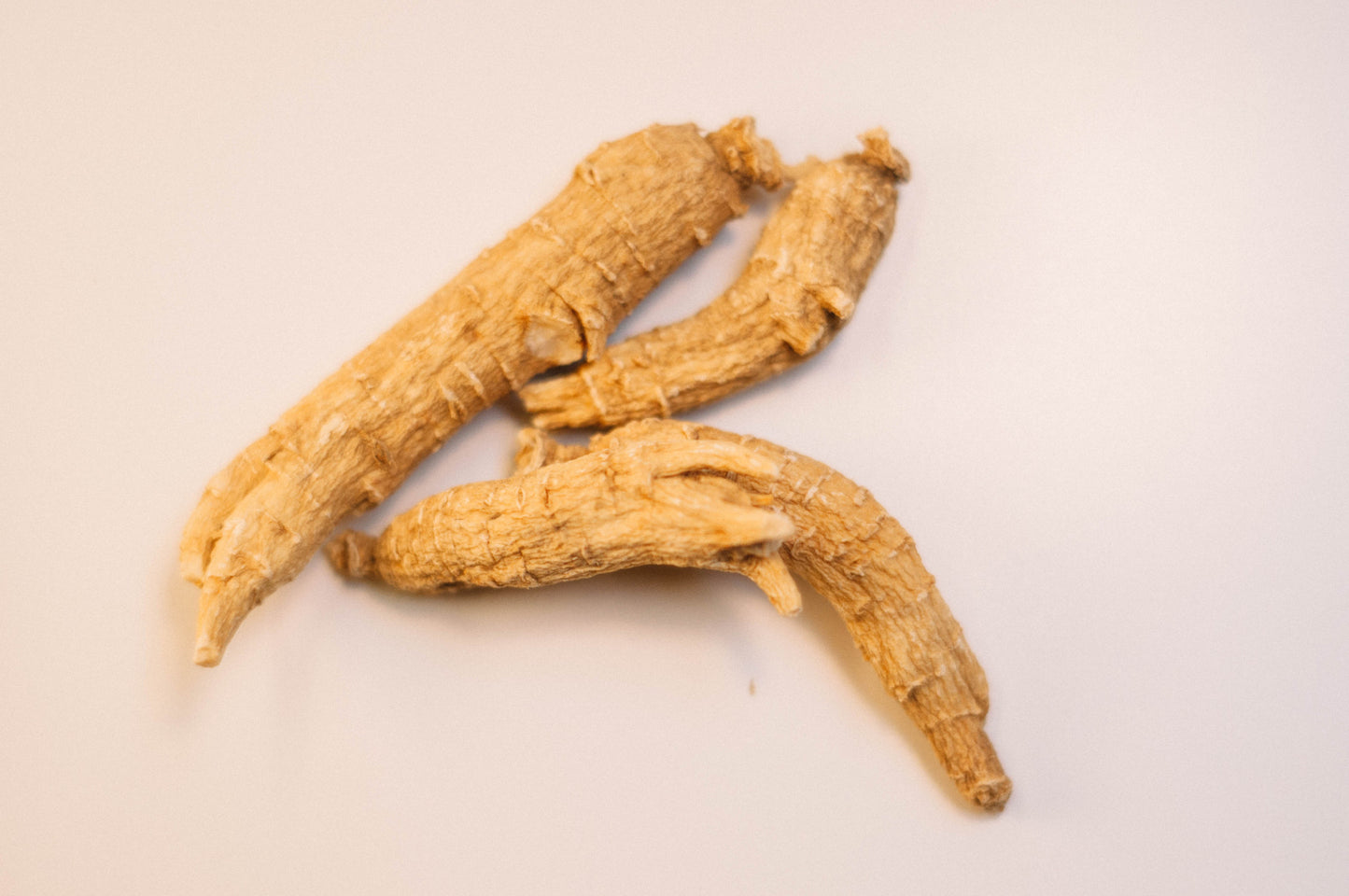 American Ginseng Root