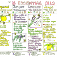 Essential Oils Chart