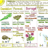 Women's Healing Herbs Chart