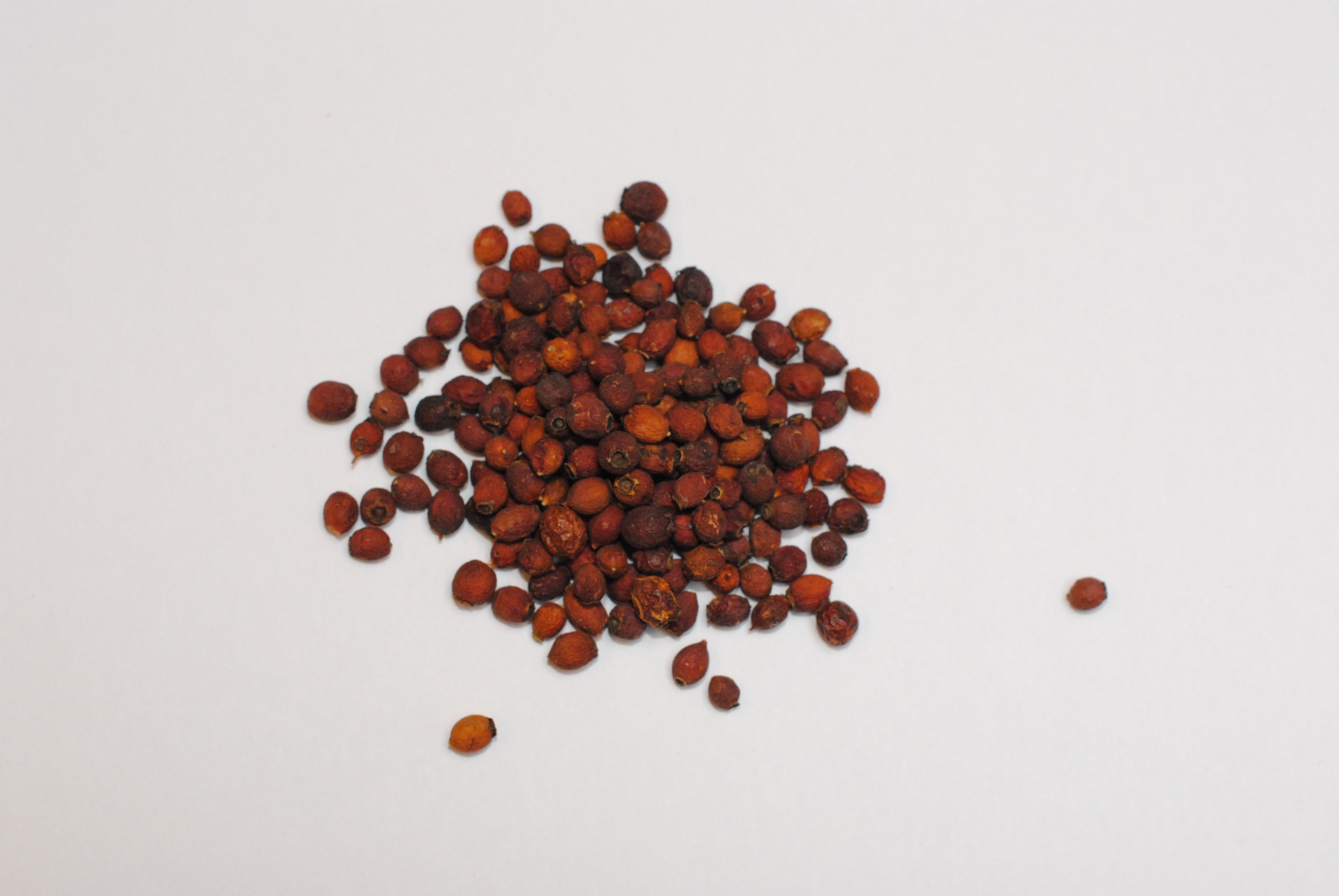 Hawthorn Berry
