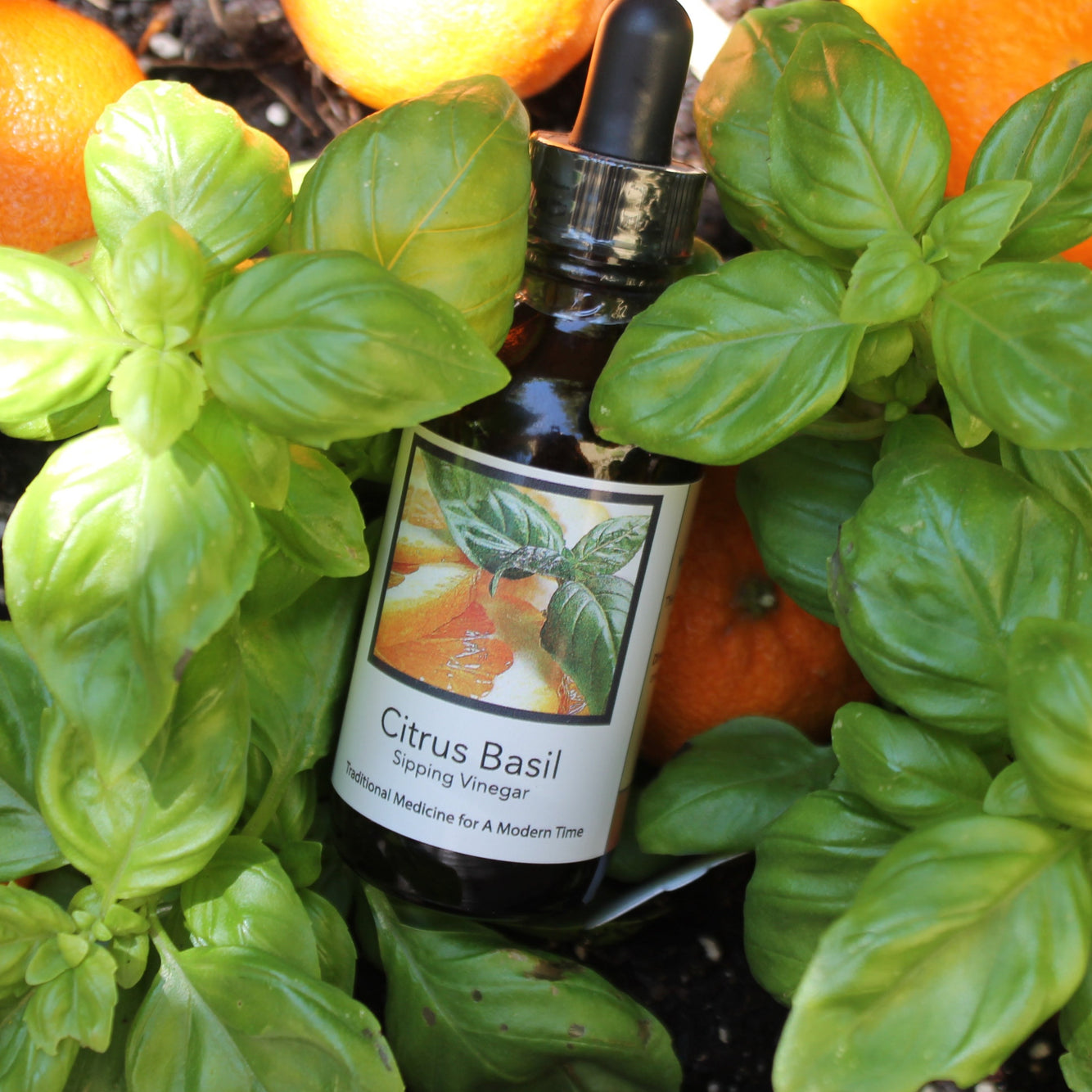 Citrus Basil Sipping Vinegar