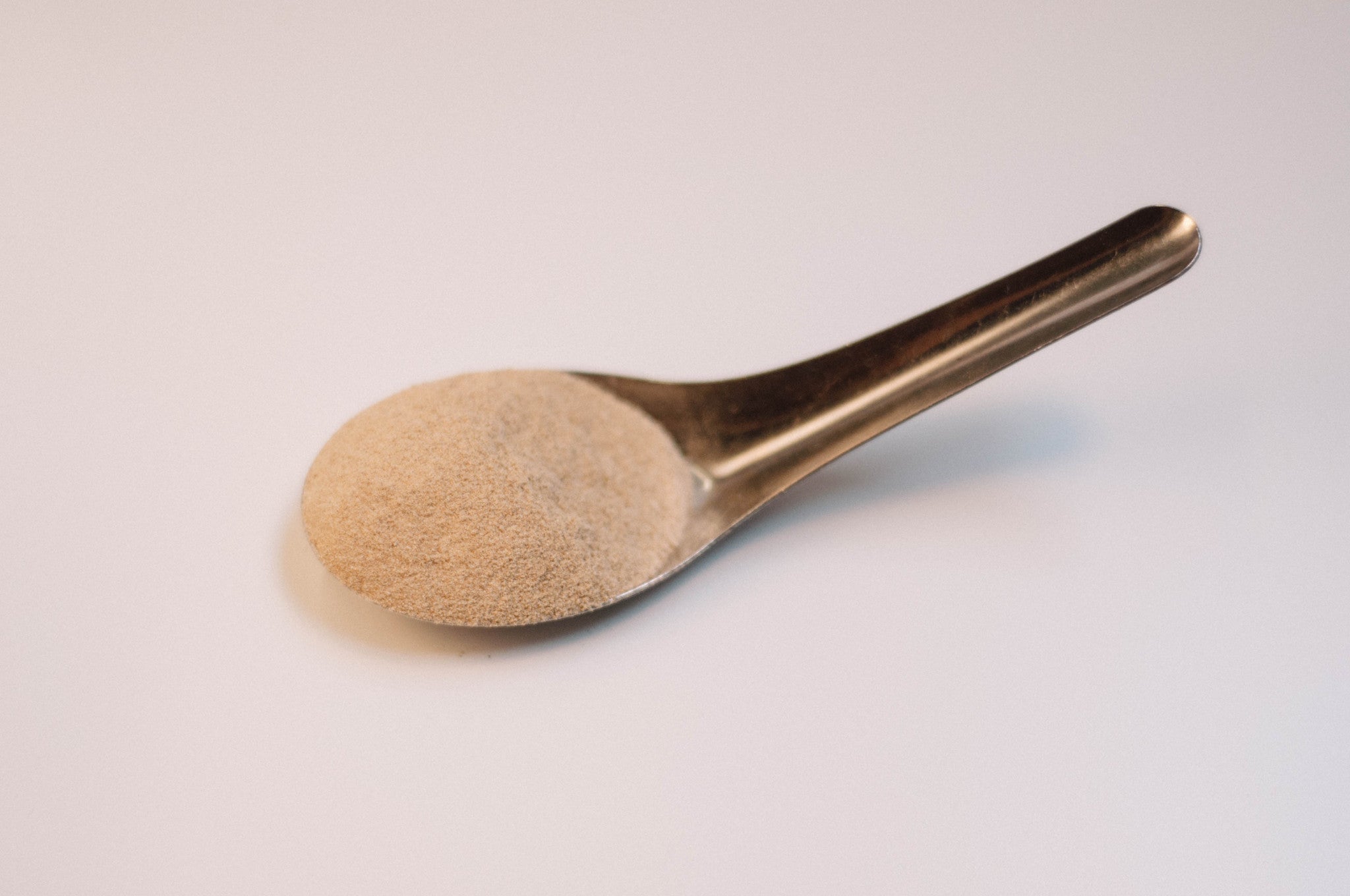 Dandelio Roots Powder Dandelion Root Powder – The Herb Shoppe