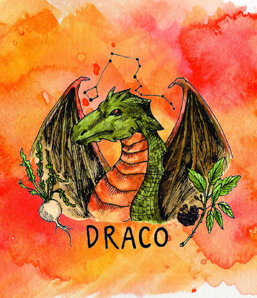 Draco Energy Elixir-Energy Booster