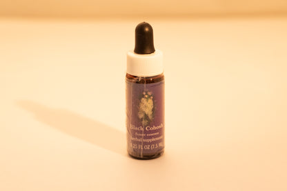 Black Cohosh Flower Essence Drop