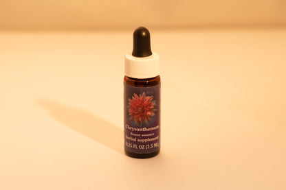 Chrysanthemum Flower Essence Drop