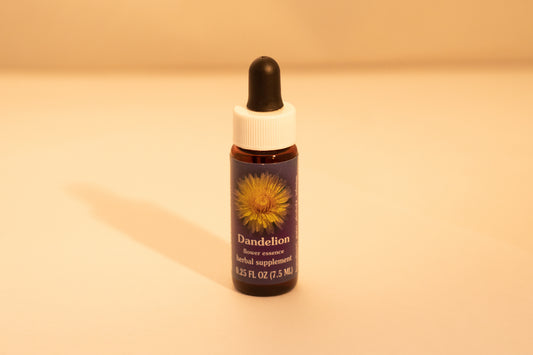 Dandelion Flower Essence Drop