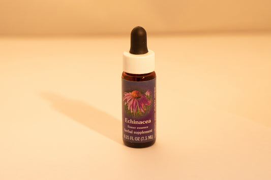 Echinacea Flower Essence Drop