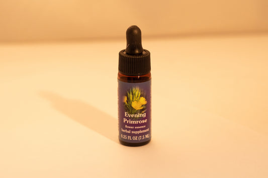 Evening Primrose Flower Essence Drop