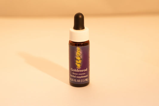 Goldenrod Flower Essence Drop