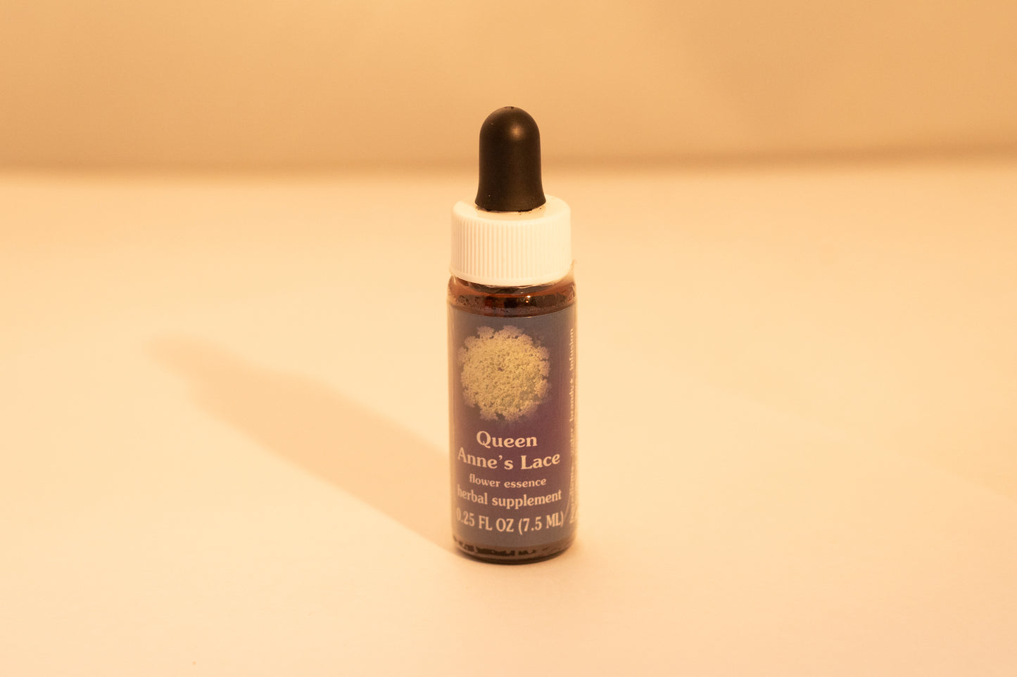 Queen Anne's Lace Flower Essence Drop