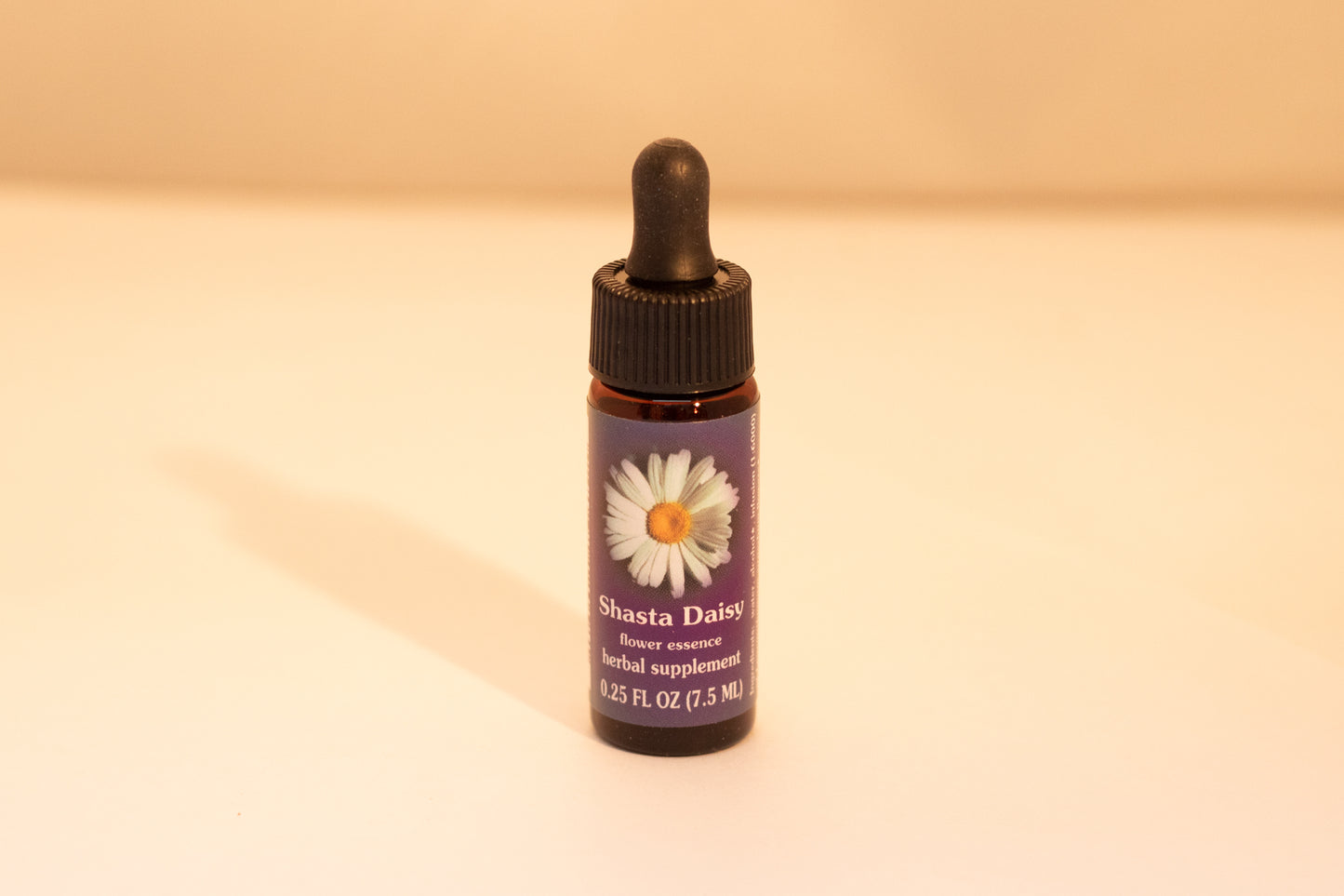 Shasta Daisy Flower Essence Drop