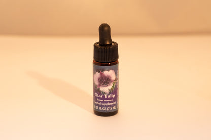 Star Tulip Flower Essence Drop