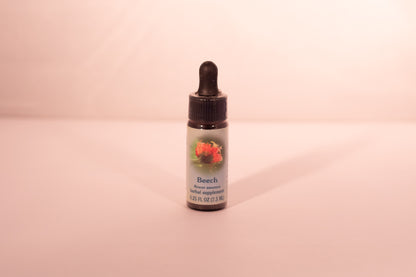 Beech Flower Essence Drop