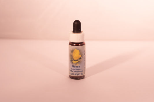 Gorse Flower Essence Drop