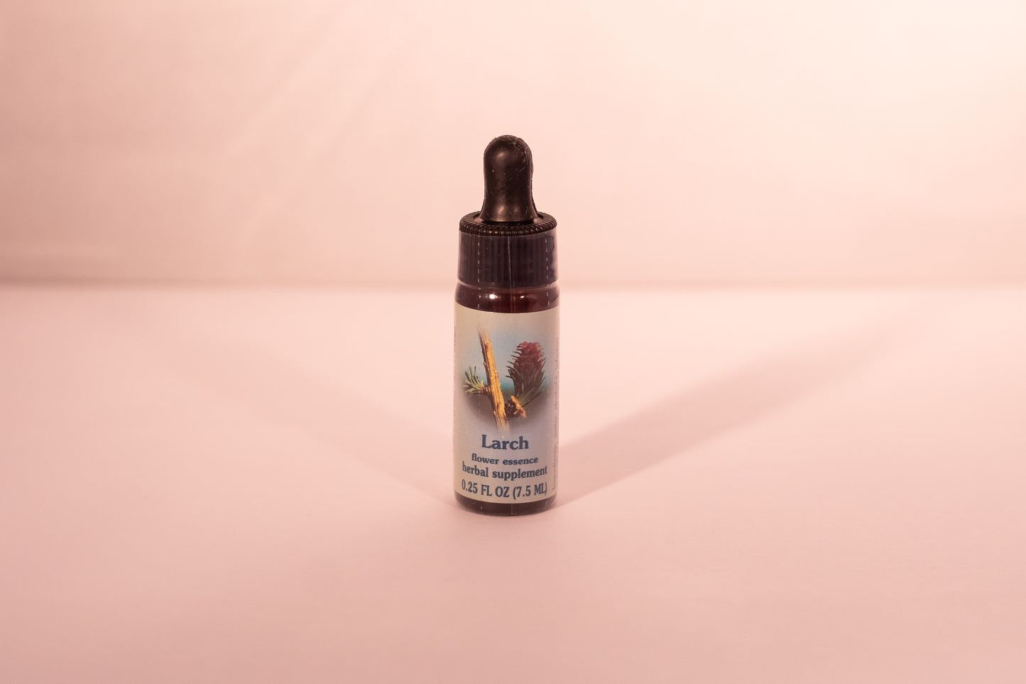 Larch Flower Essence Drop