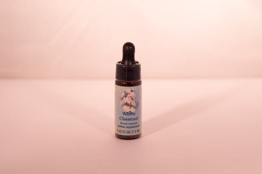 White Chestnut Flower Essence Drop